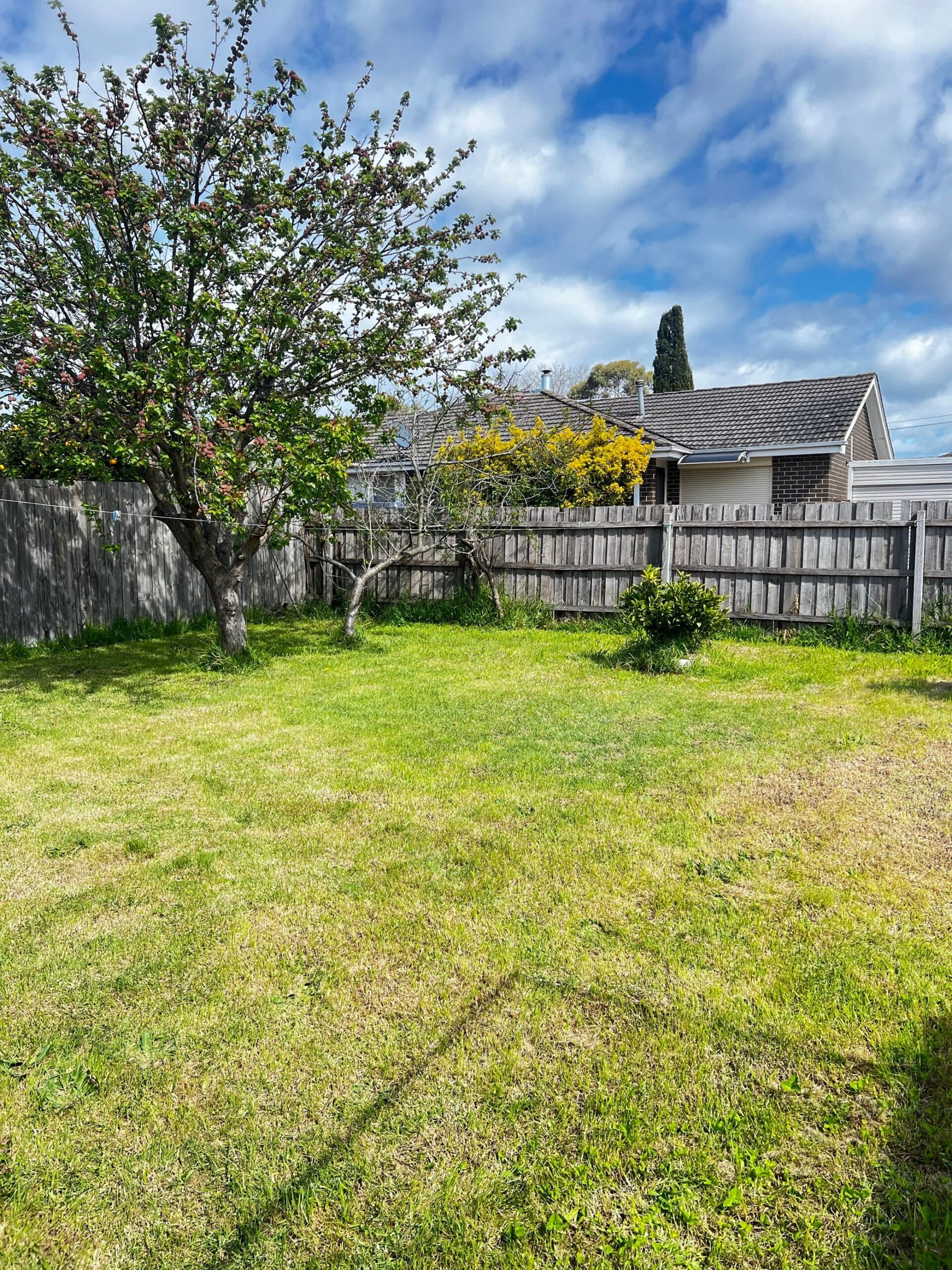 12 warrigal road cheltenham backyard and garden